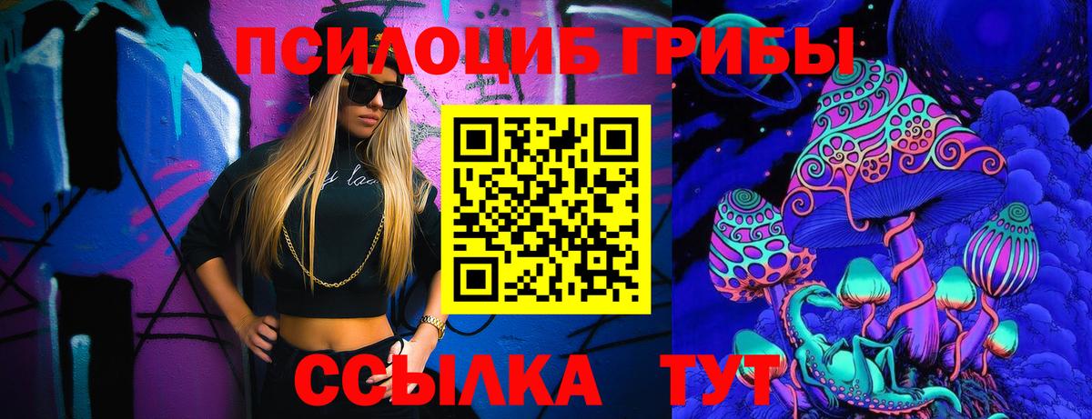 Псилоцибиновые грибы GOLDEN TEACHER Звенигород